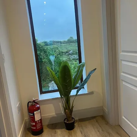 Holiday home Bluewillowretreat With Sauna Spiddal *