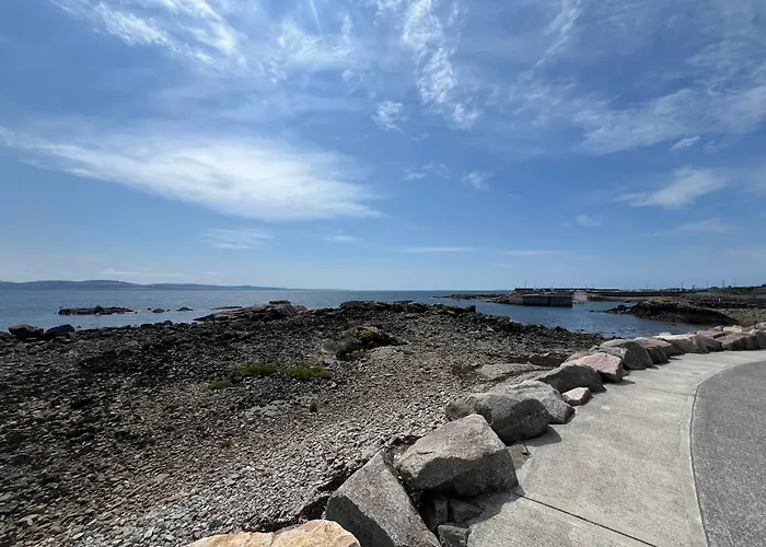 Feriehus Bluewillowretreat With Sauna Spiddal Galway